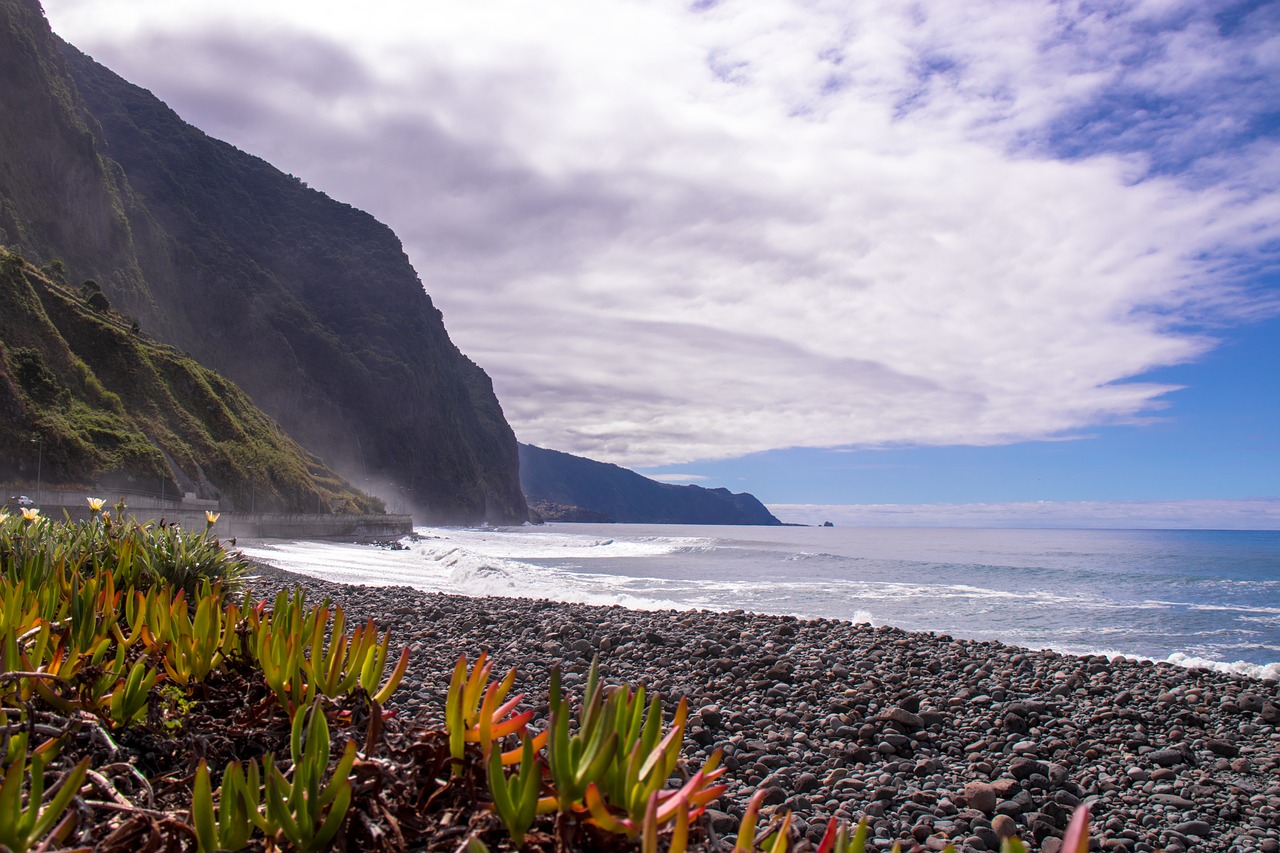 são vicente  madeira island  mar free photo