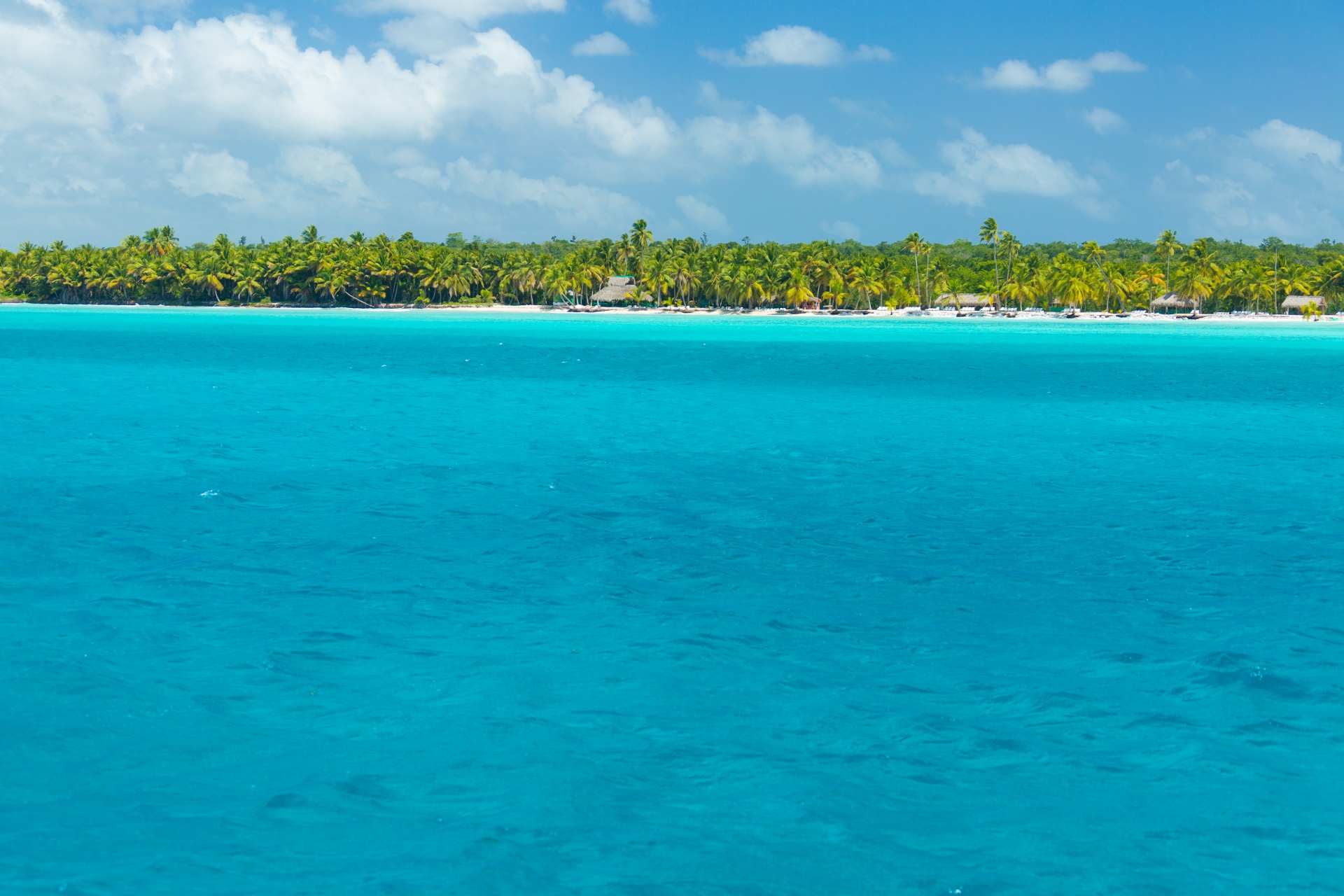 beach blue caribbean free photo