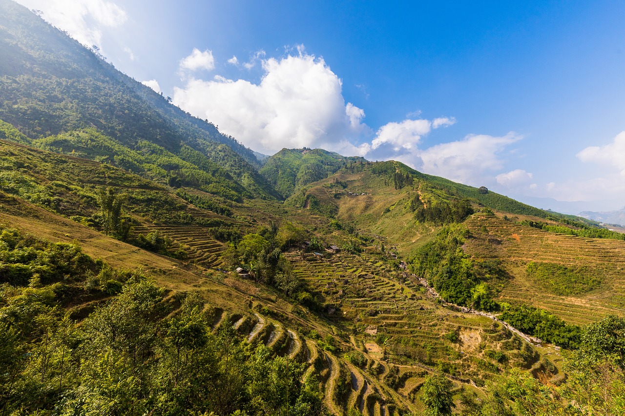 sapa vietnam rice fields free photo