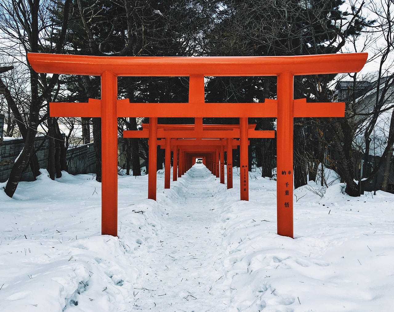 sapporo shrine torii free photo