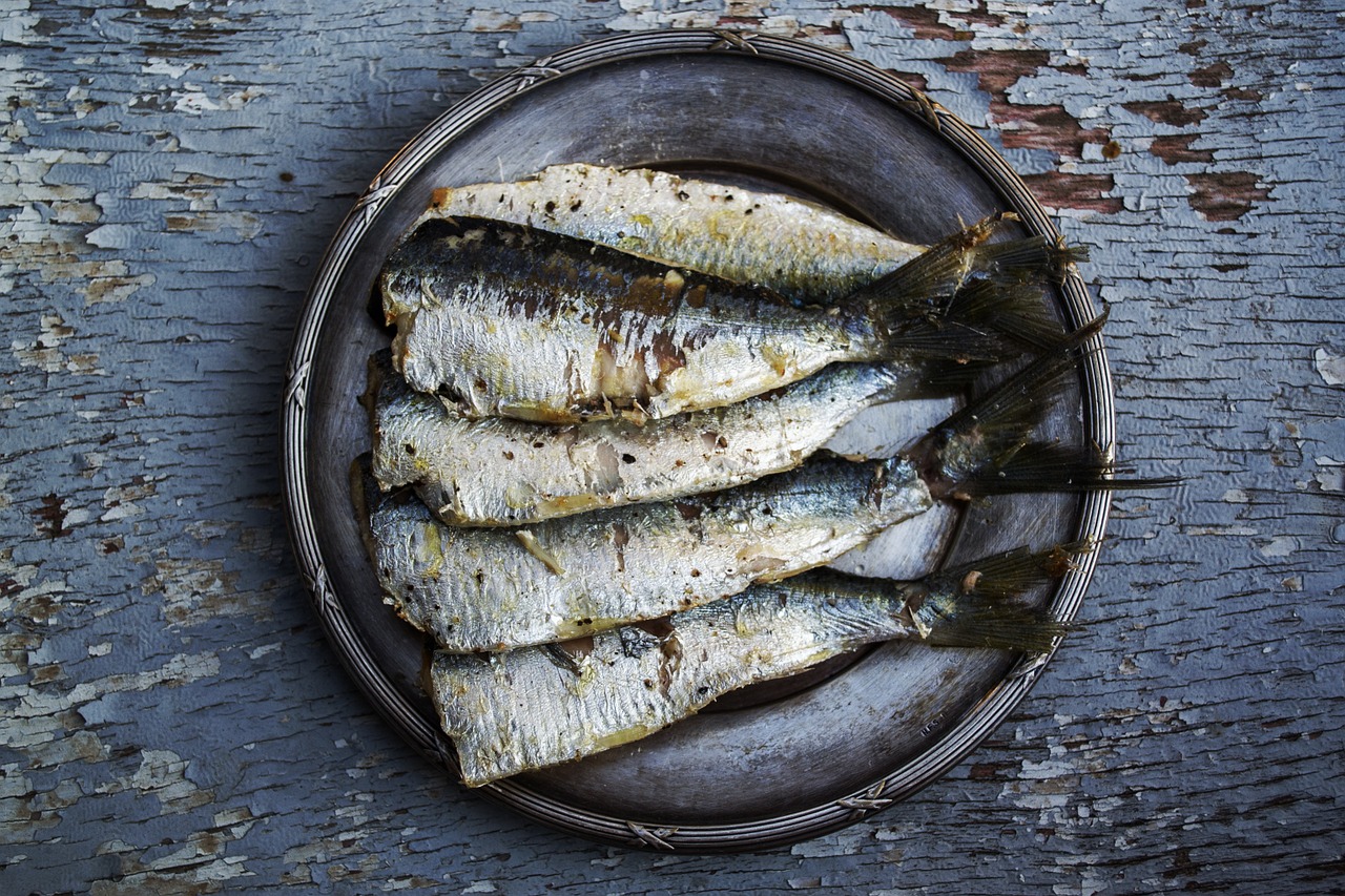 sardines fish plated food free photo