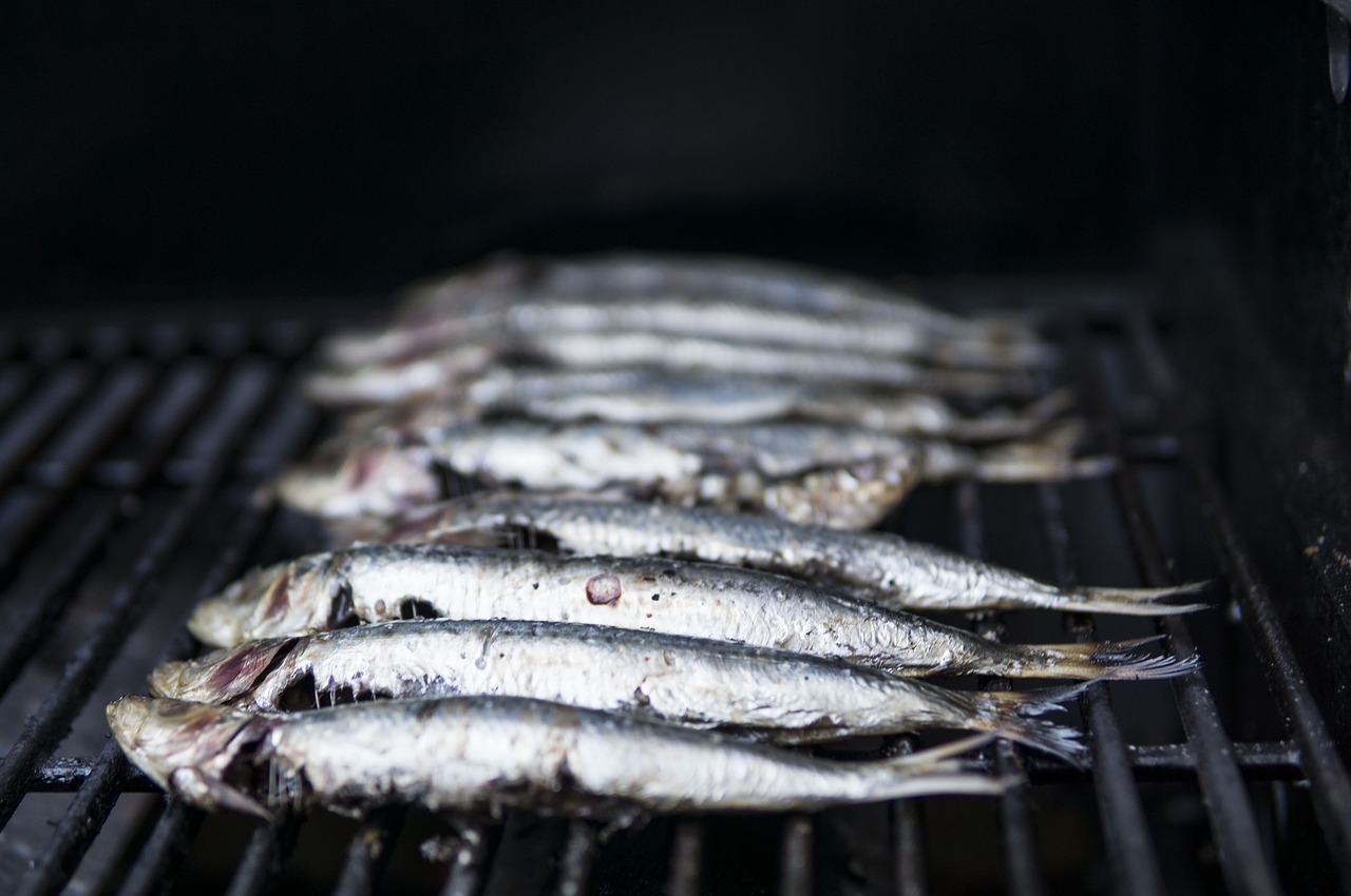 sardines  seafood  grilling free photo