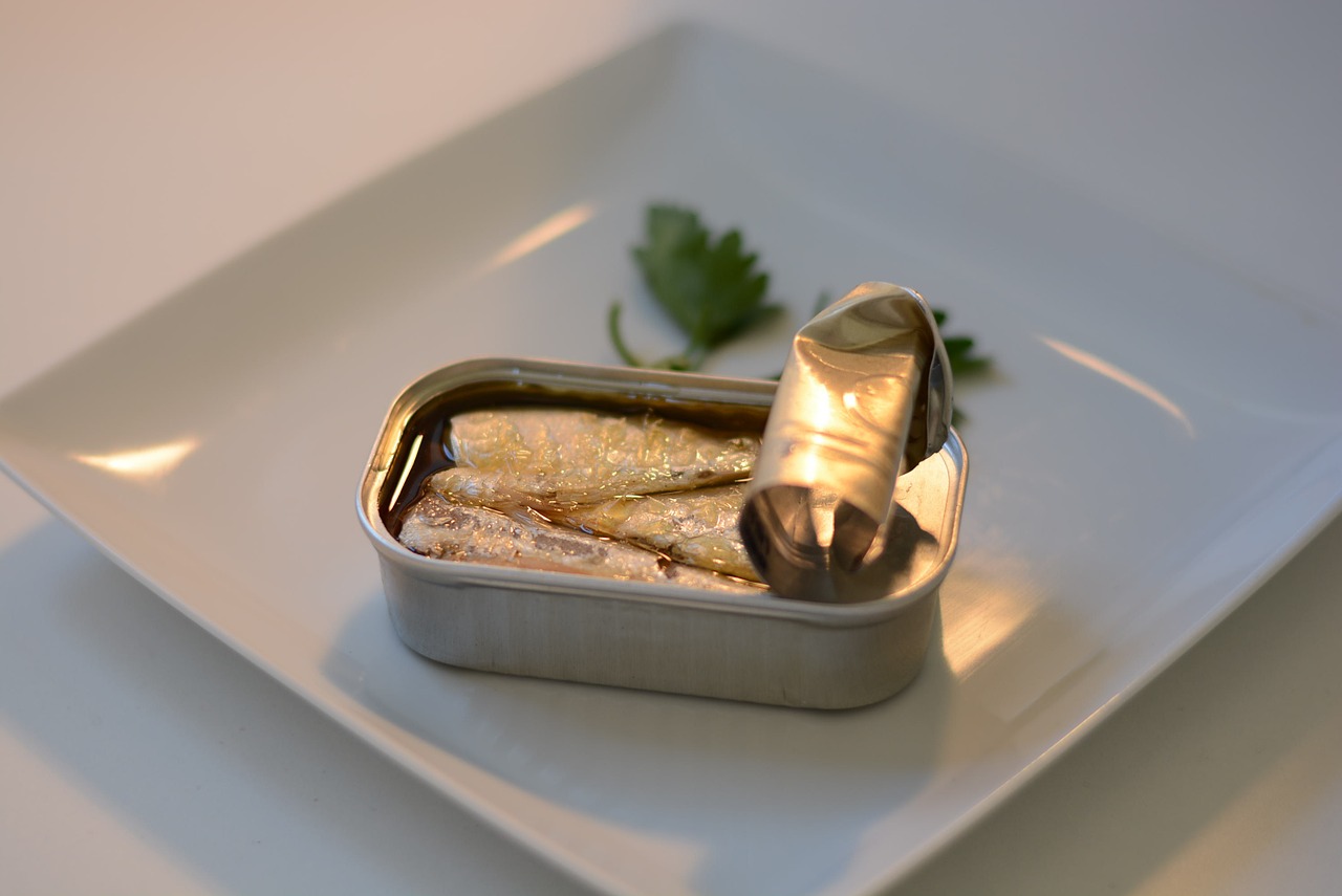 sardines can food free photo