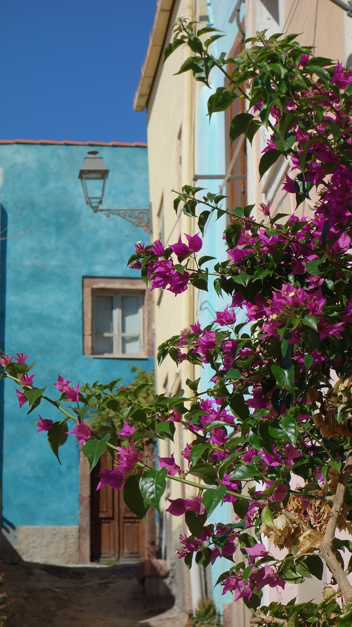 sardinia colorful architecture free photo