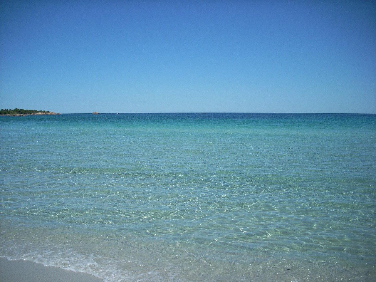 sardinia sea water free photo