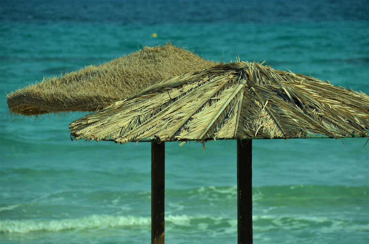 sardinia sea beach free photo