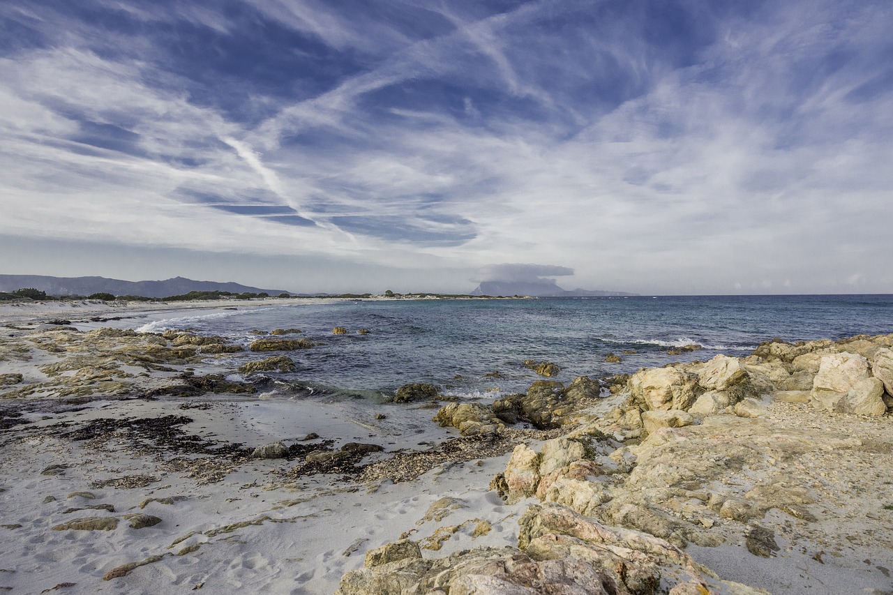 sardinia  beach  sea free photo