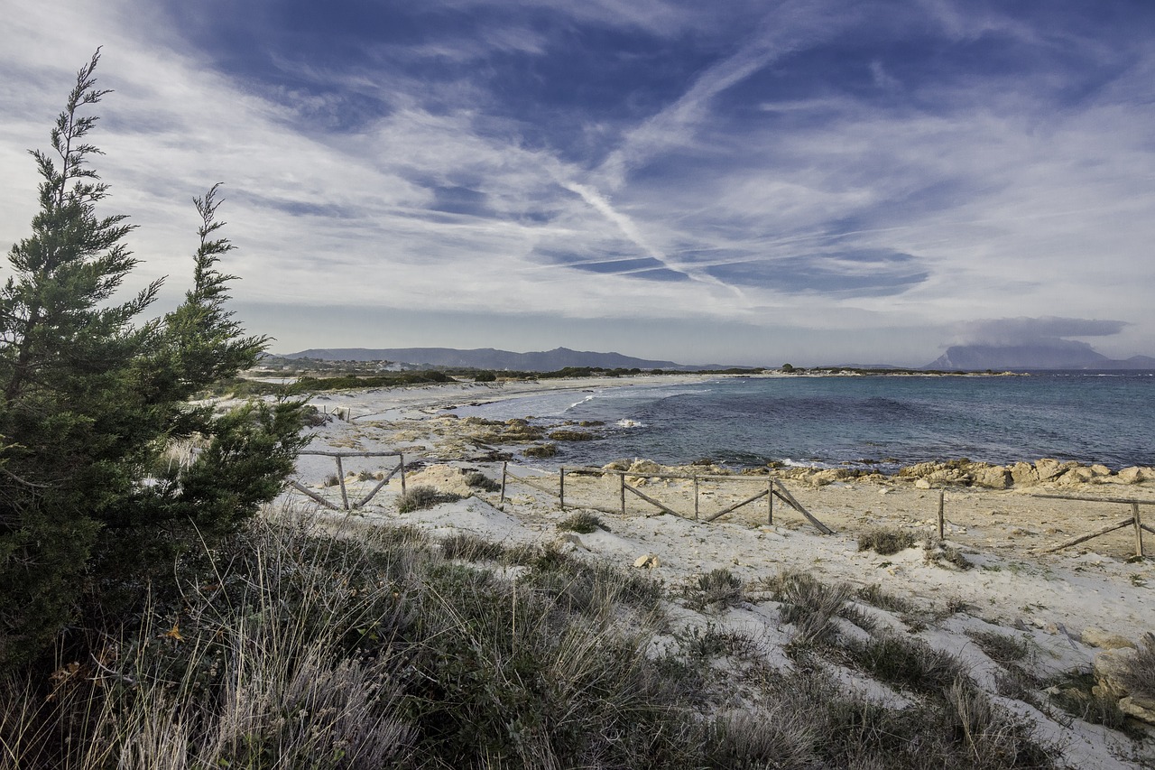 sardinia  beach  sea free photo