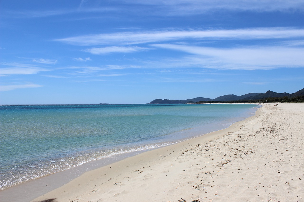 sardinia  sea  beach free photo