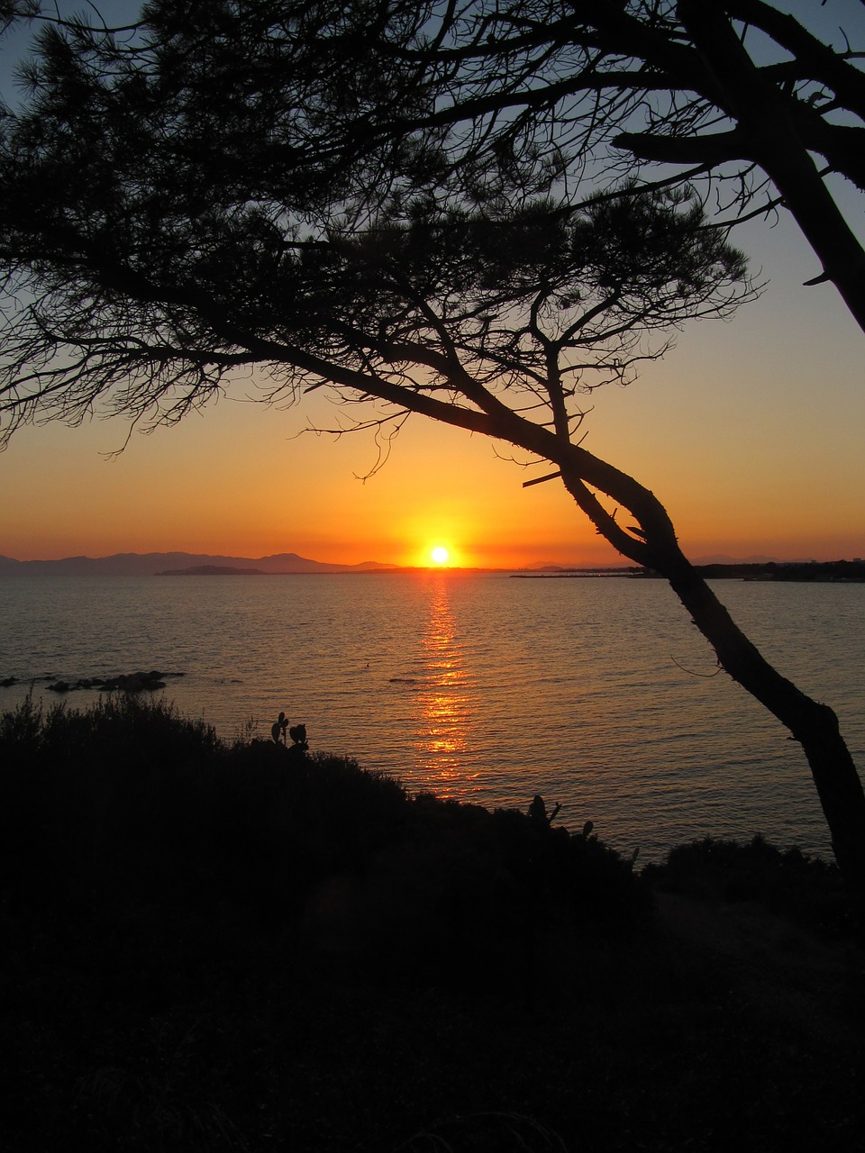 sardinia sea sunset free photo