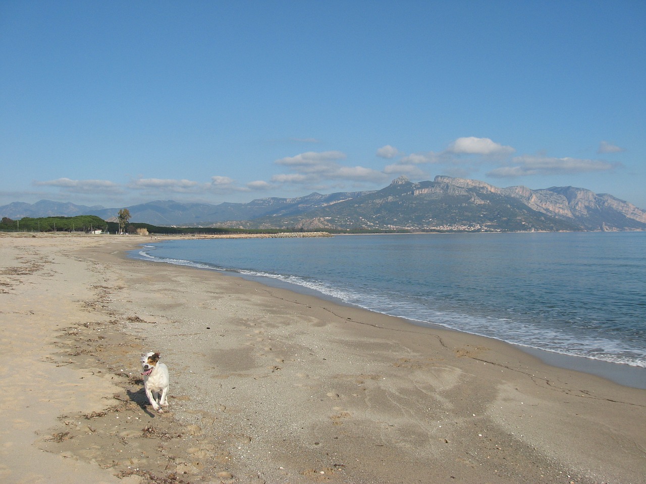 sardinia sea beach free photo
