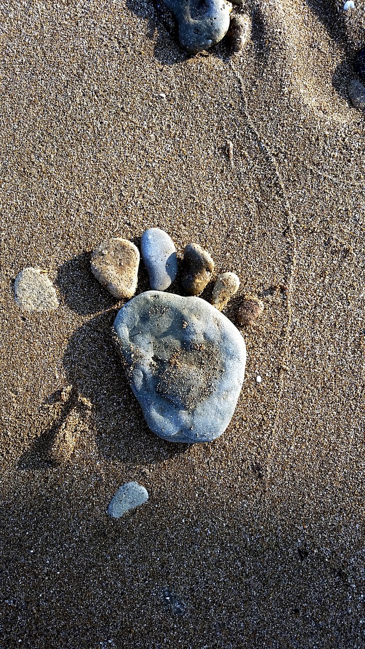 stones beach italy free photo