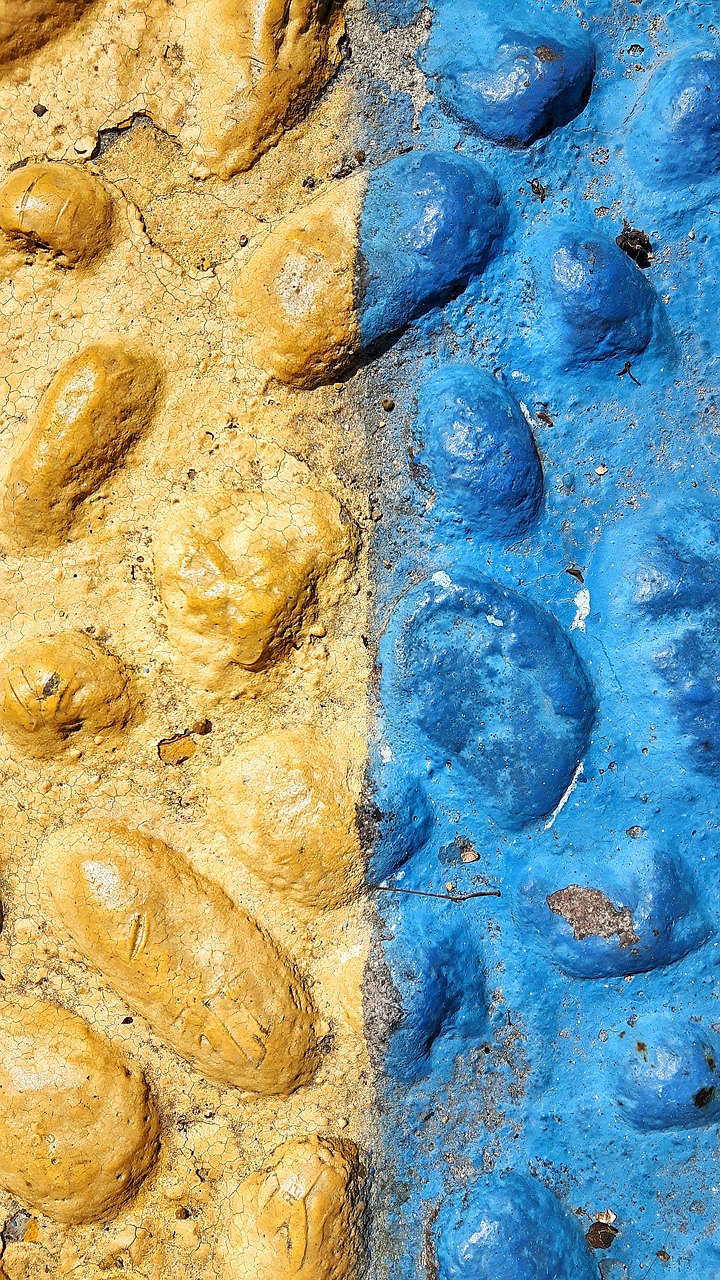 sassi fossils rocks free photo