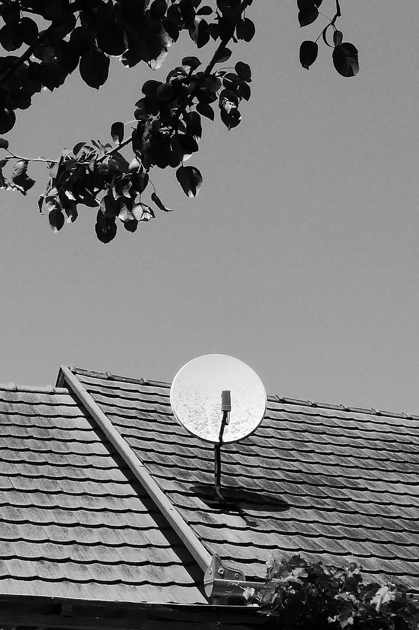 satellite dish tv watch tv free photo