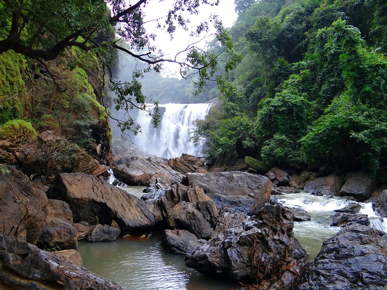 sathodi falls water fall forest free photo