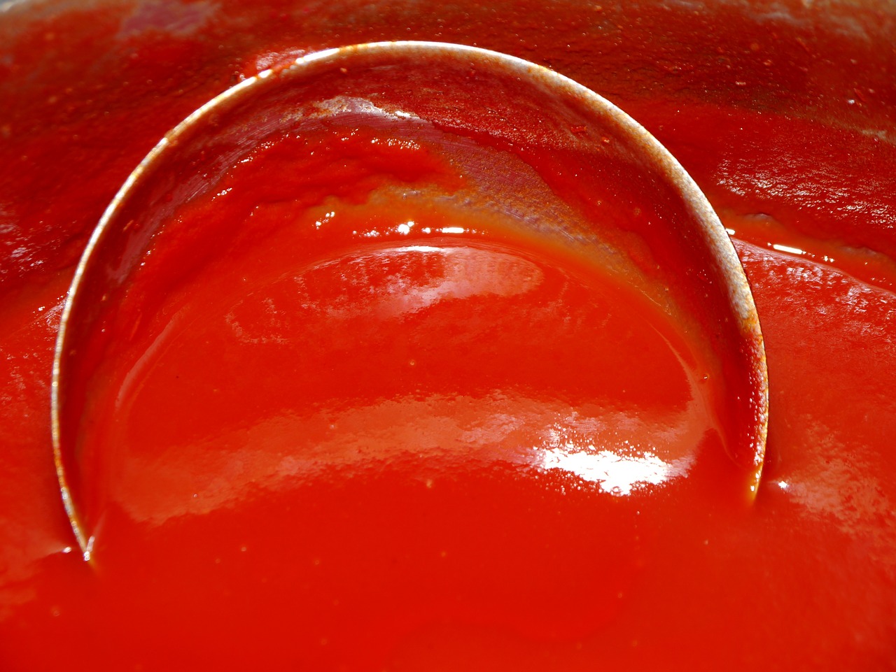 sauce tomato sauce trowel free photo