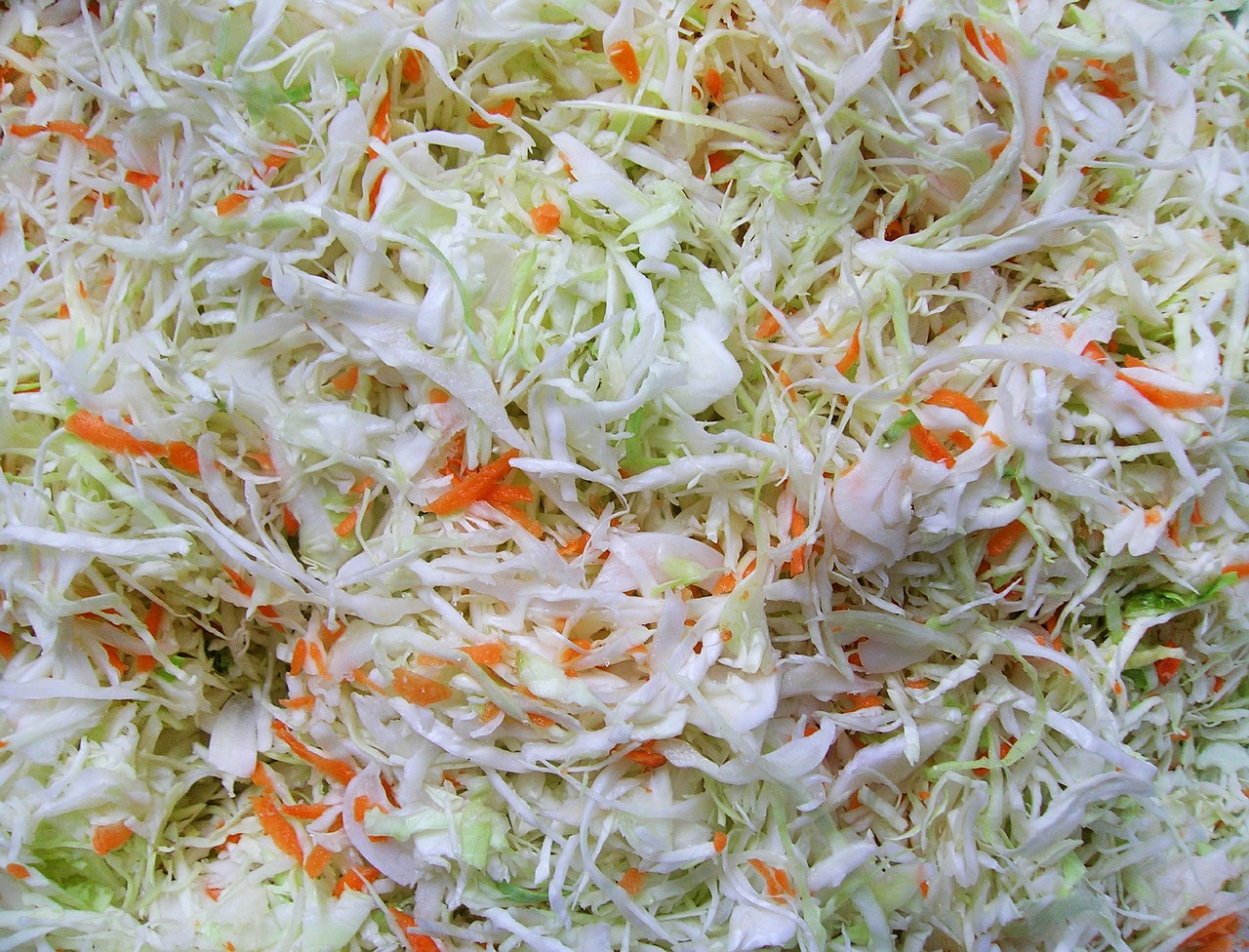 sauerkraut cabbage pickling free photo