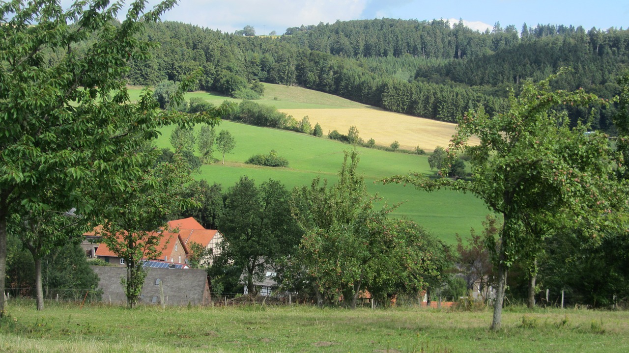 sauerland agriculture nature free photo