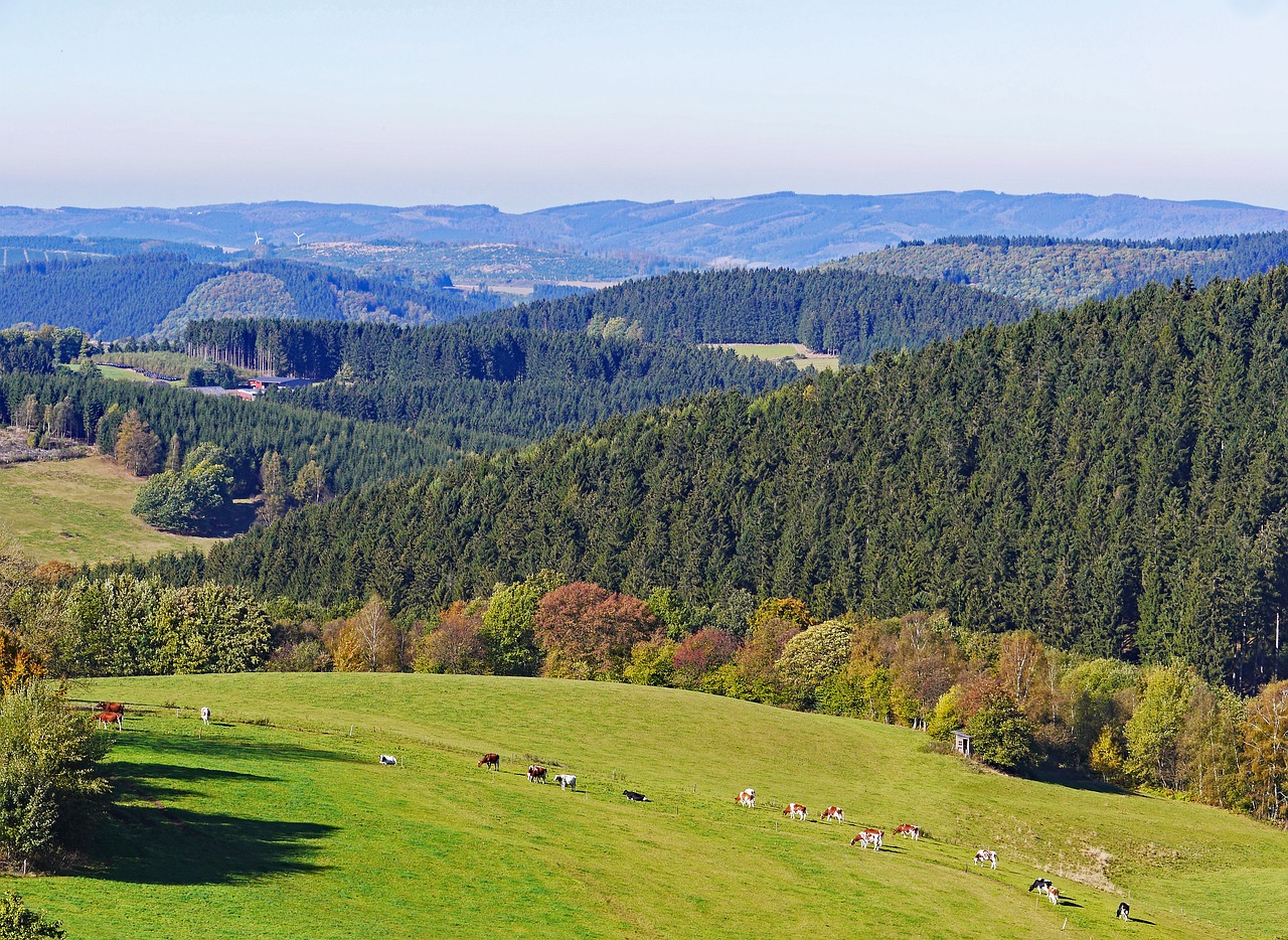 sauerland homert highlands free photo