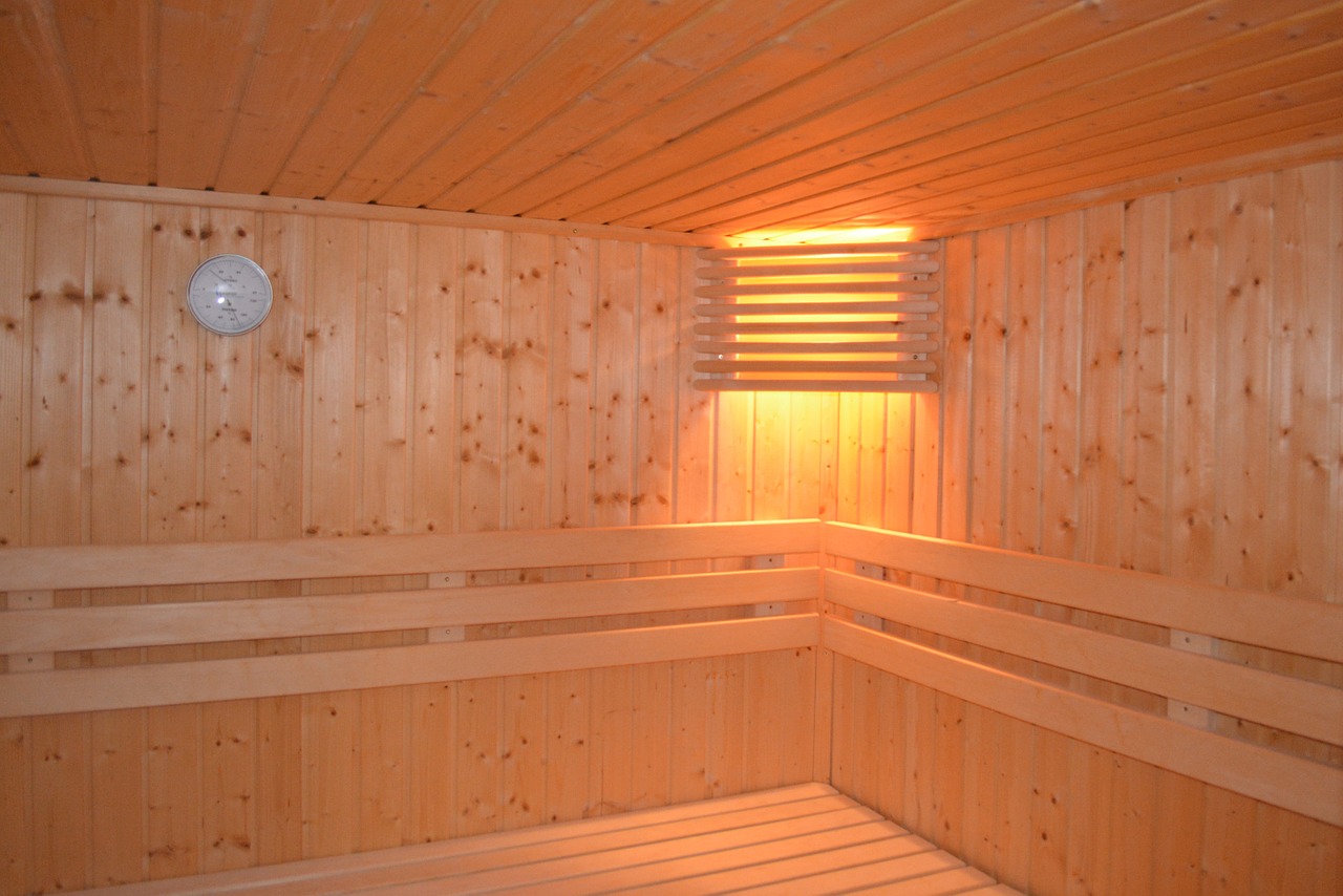 sauna lamp heat free photo