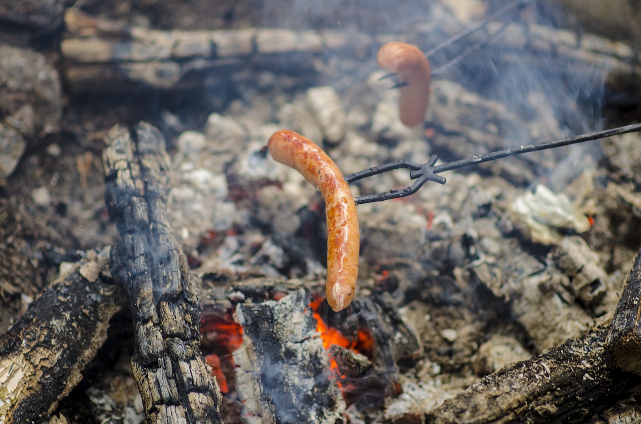 sausage fire grilling free photo