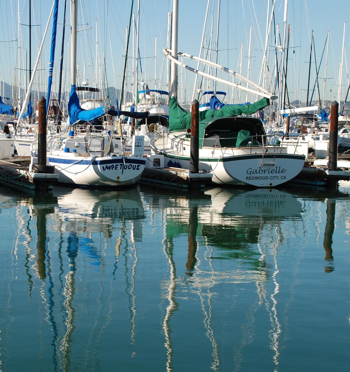 sausalito sail boats boat free photo