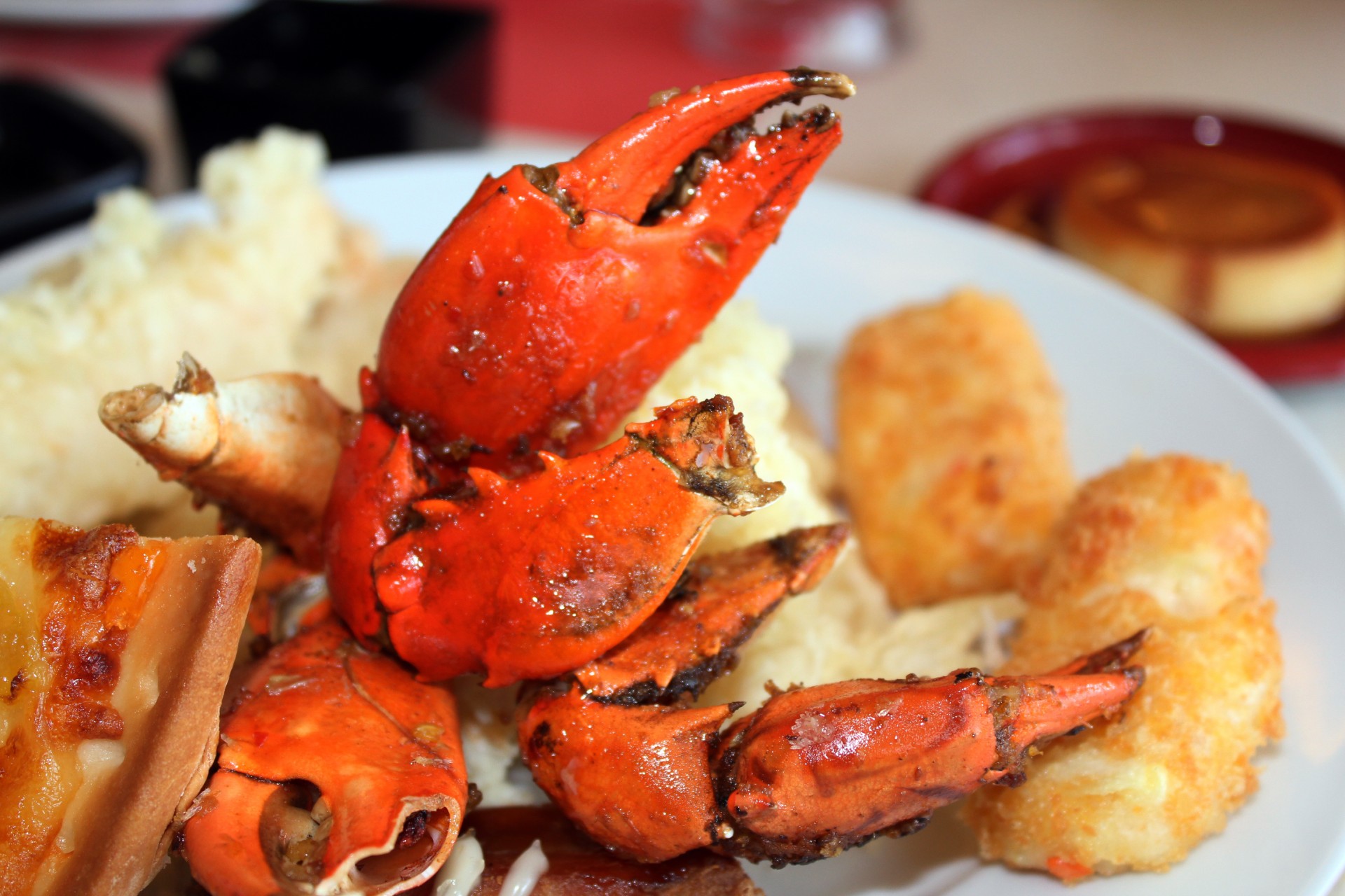 food crab sea food free photo