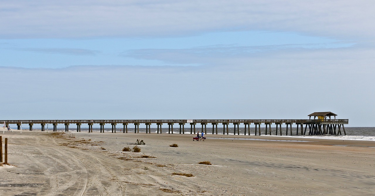 savannah beach bridge free photo