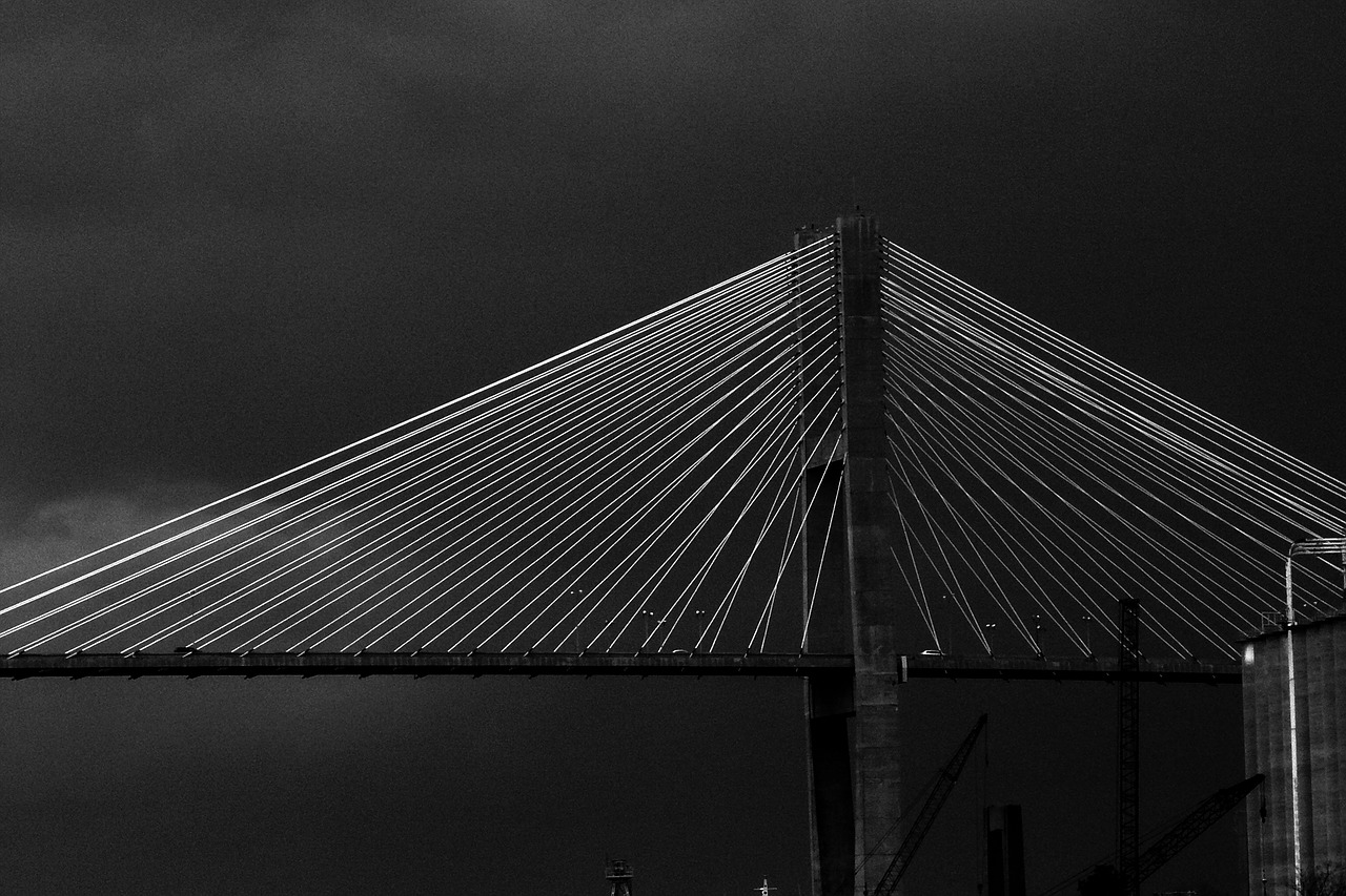 savannah  bridge  architecture free photo