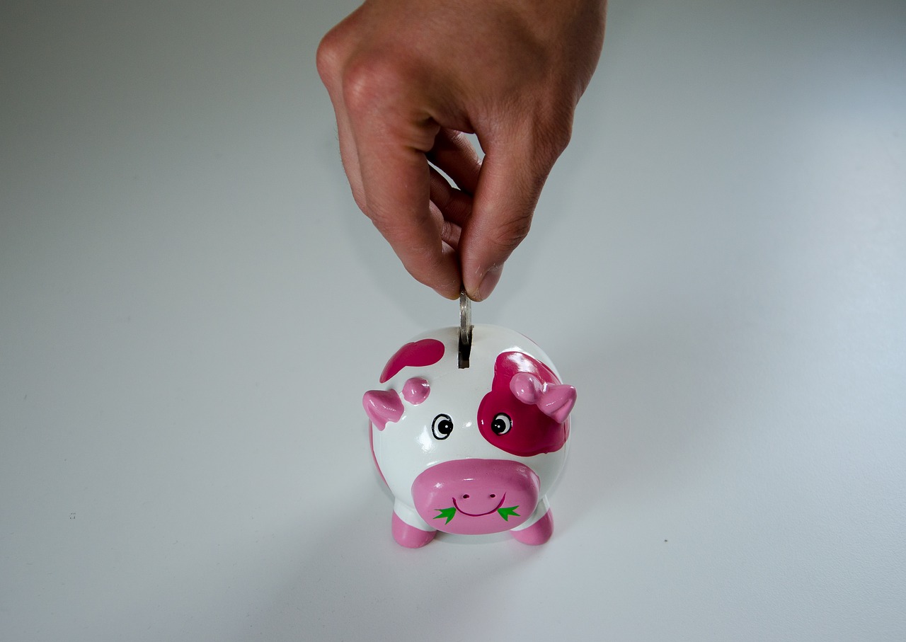 save piggy bank money free photo