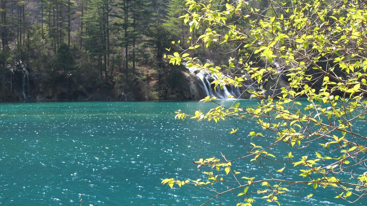 save spring jiuzhaigou free photo