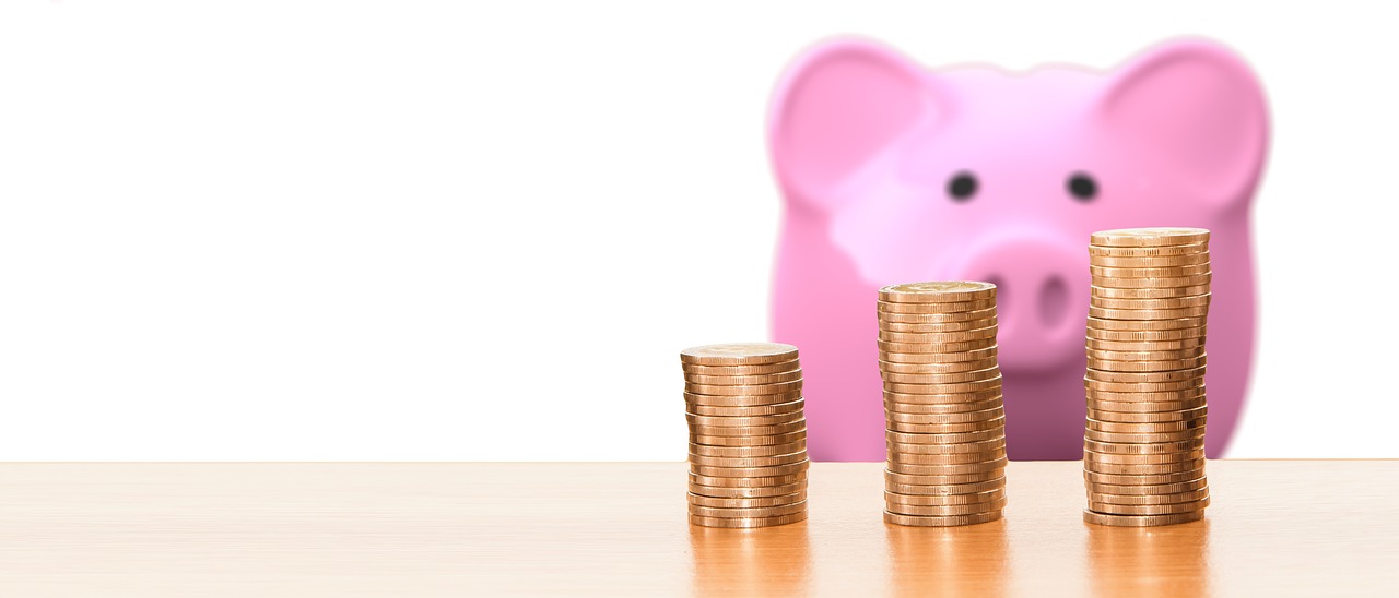 save  piggy bank  money free photo