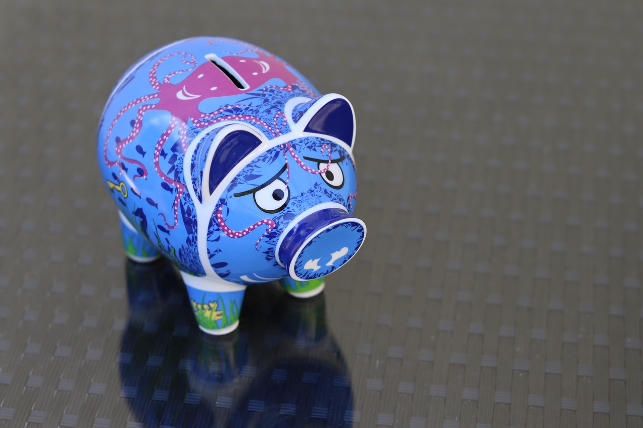 save  piggy bank  coints free photo