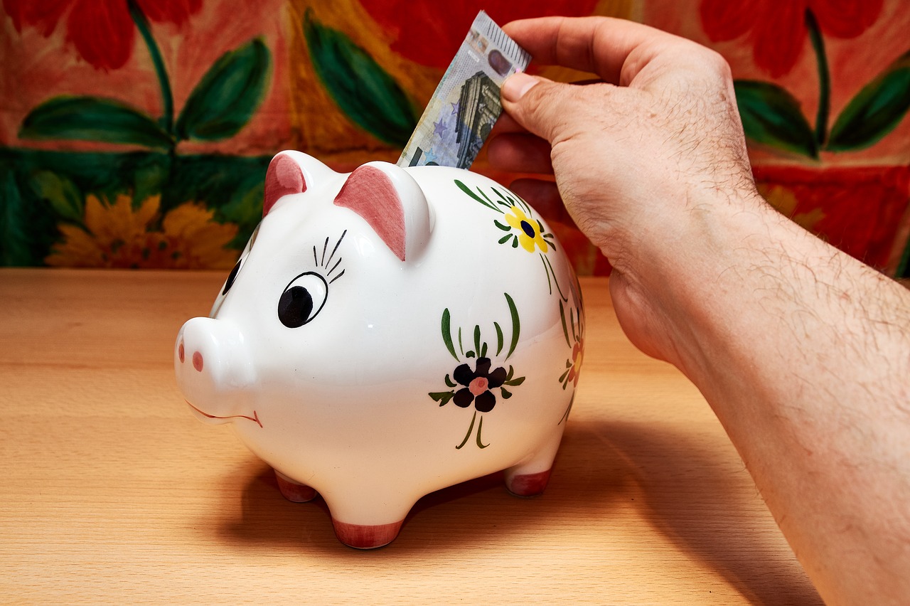 savings piggy bank hand free photo