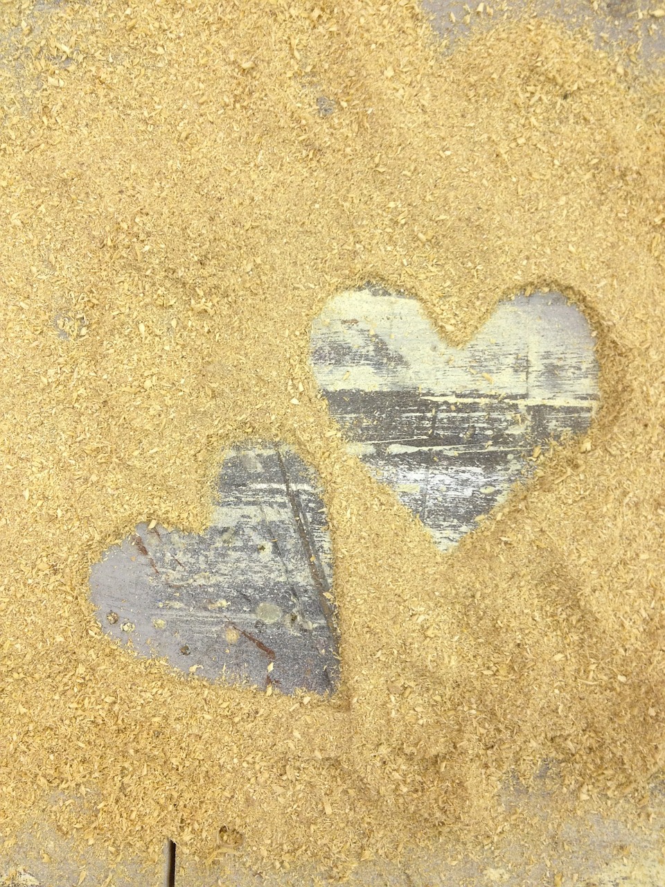 sawdust hearts wooden free photo