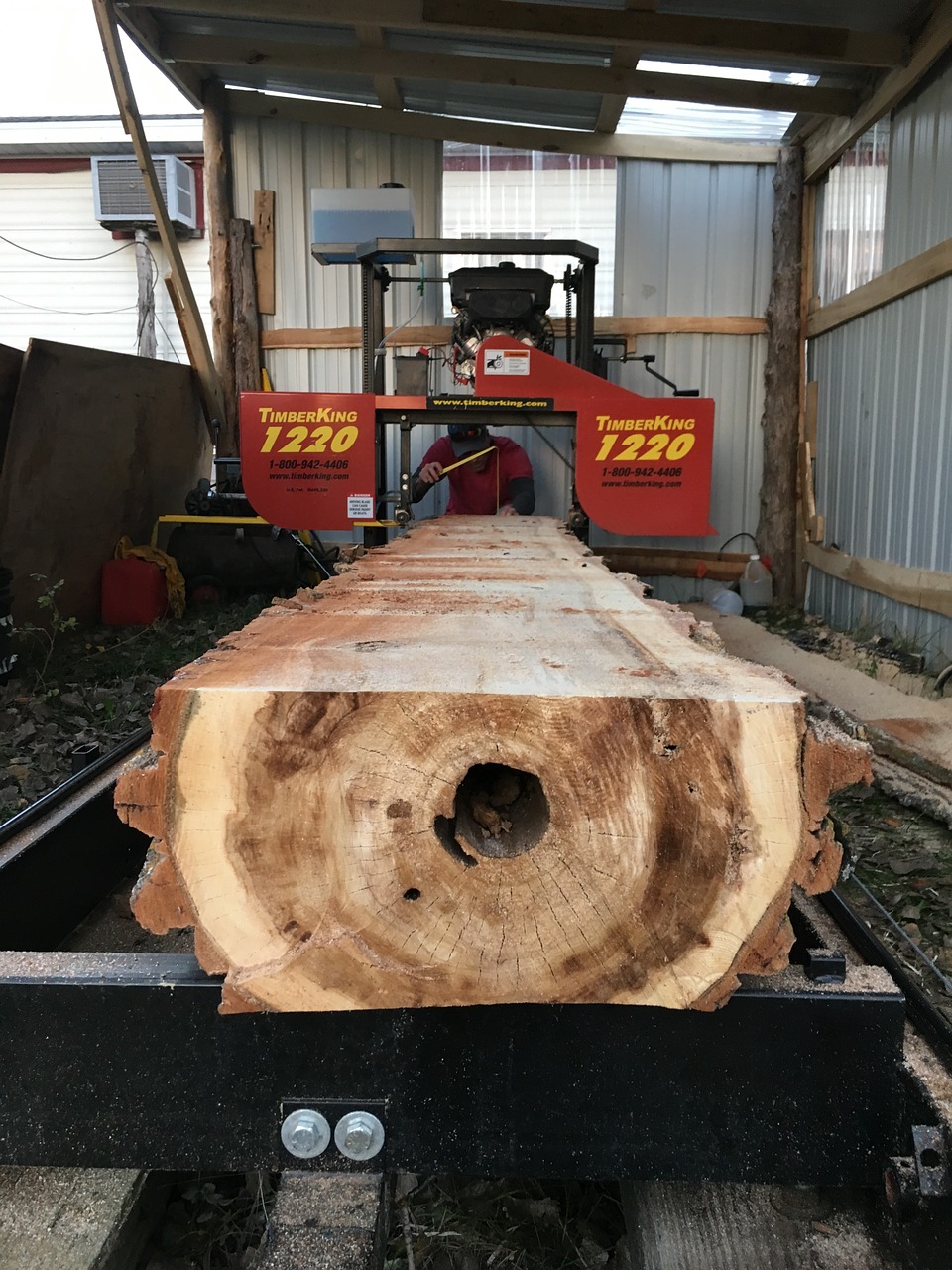 sawmill log wood cutting free photo