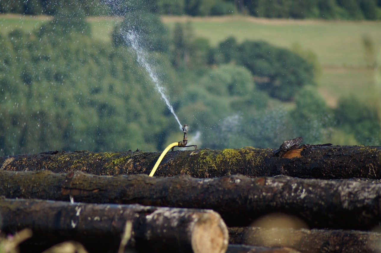 sawmill  wood trunks  wood free photo