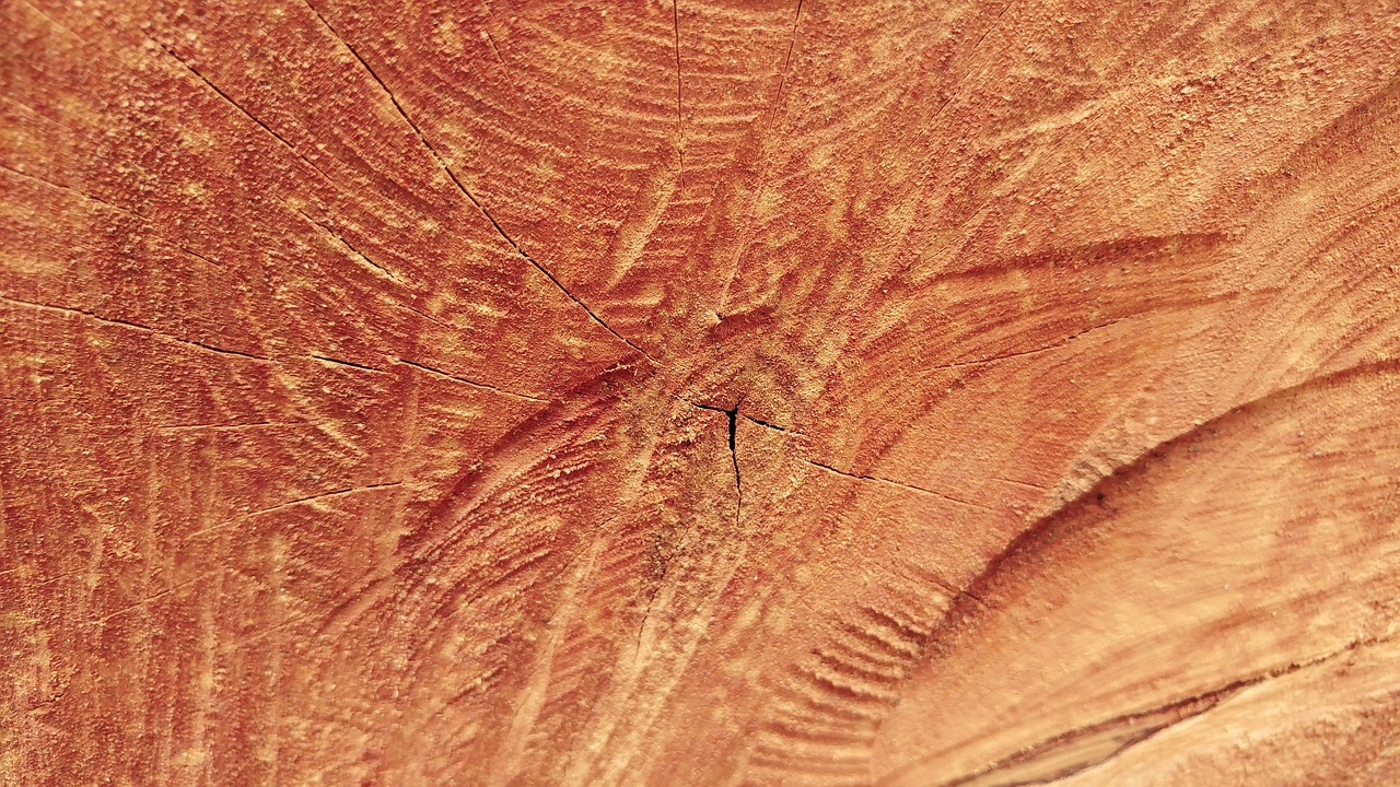 sawn wood log free photo