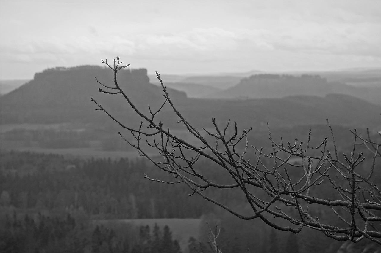 saxon switzerland  elbe sandstone mountains  lily stone free photo