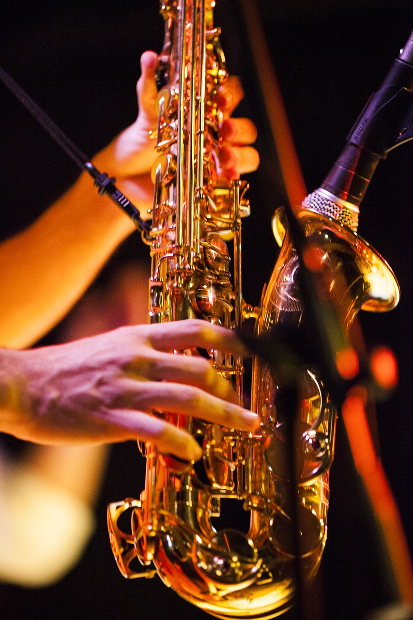 saxophone music night free photo