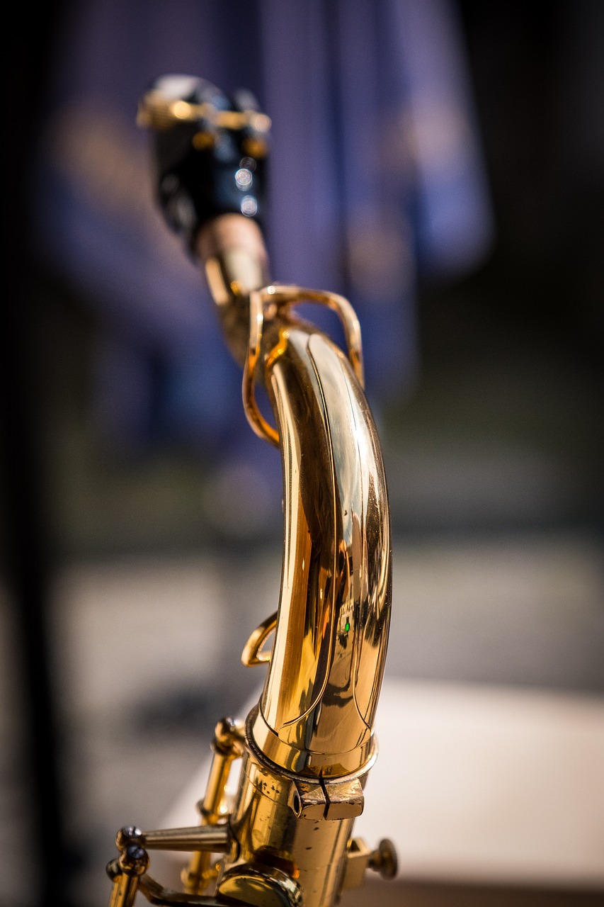 saxophone  s-bow  tenor free photo