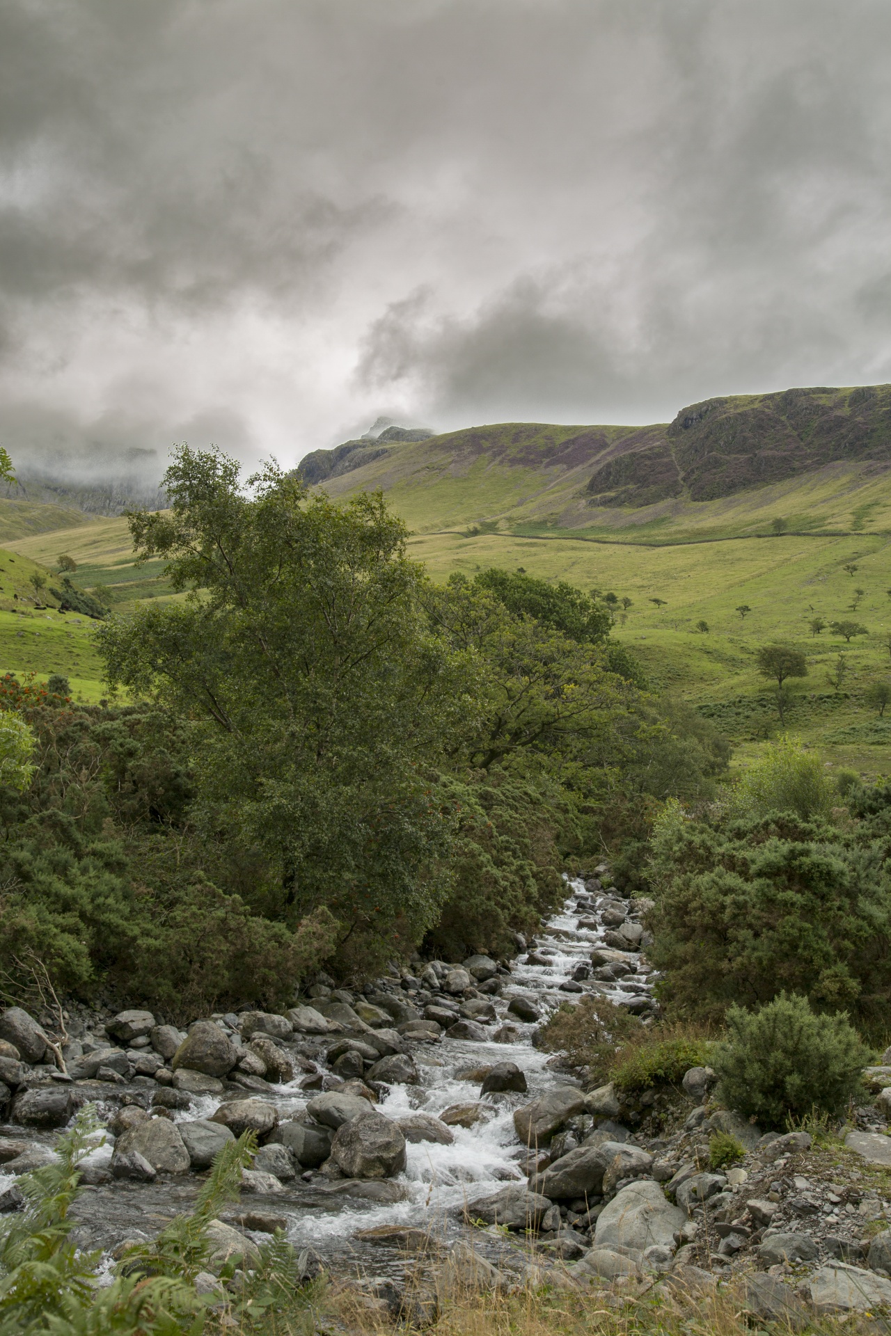 pike uk scafell free photo