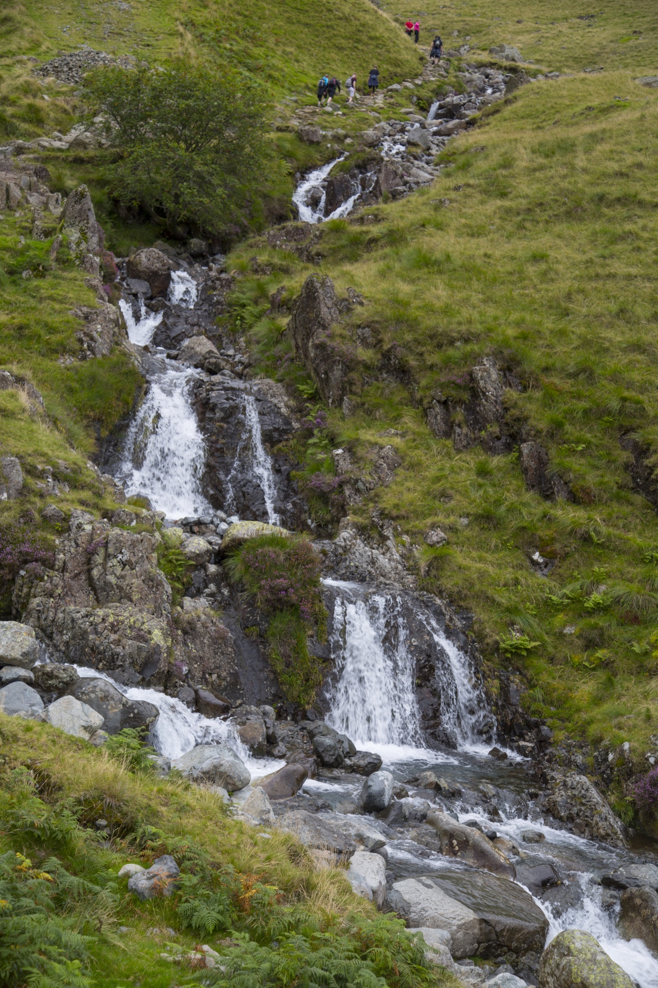 pike uk scafell free photo