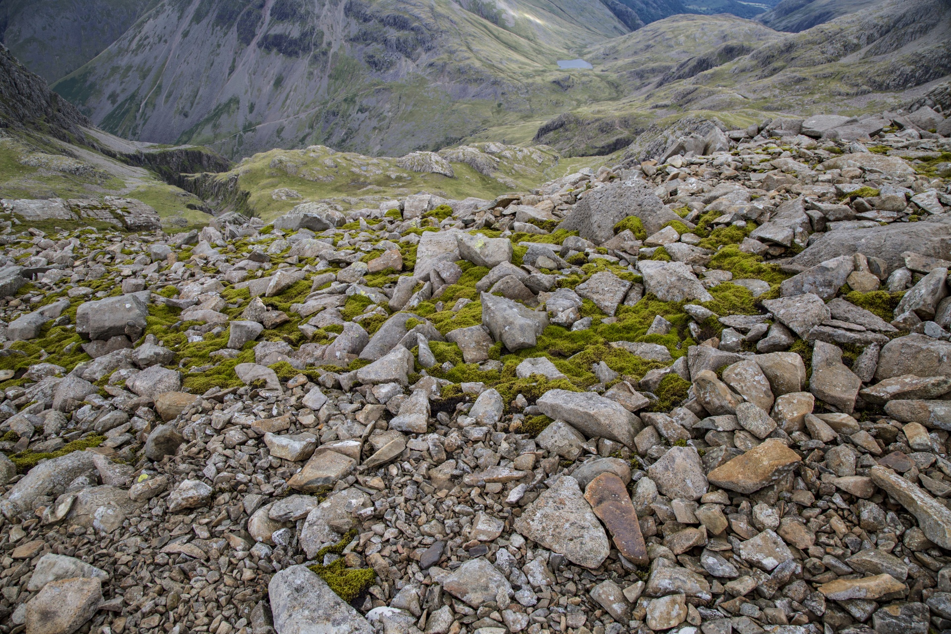 pike uk scafell free photo