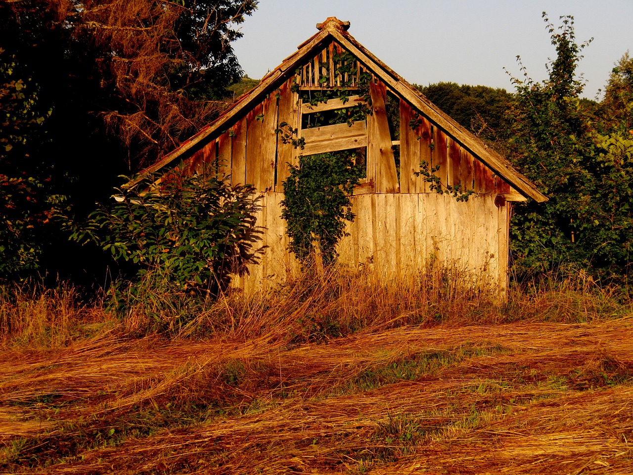 scale nature hut free photo