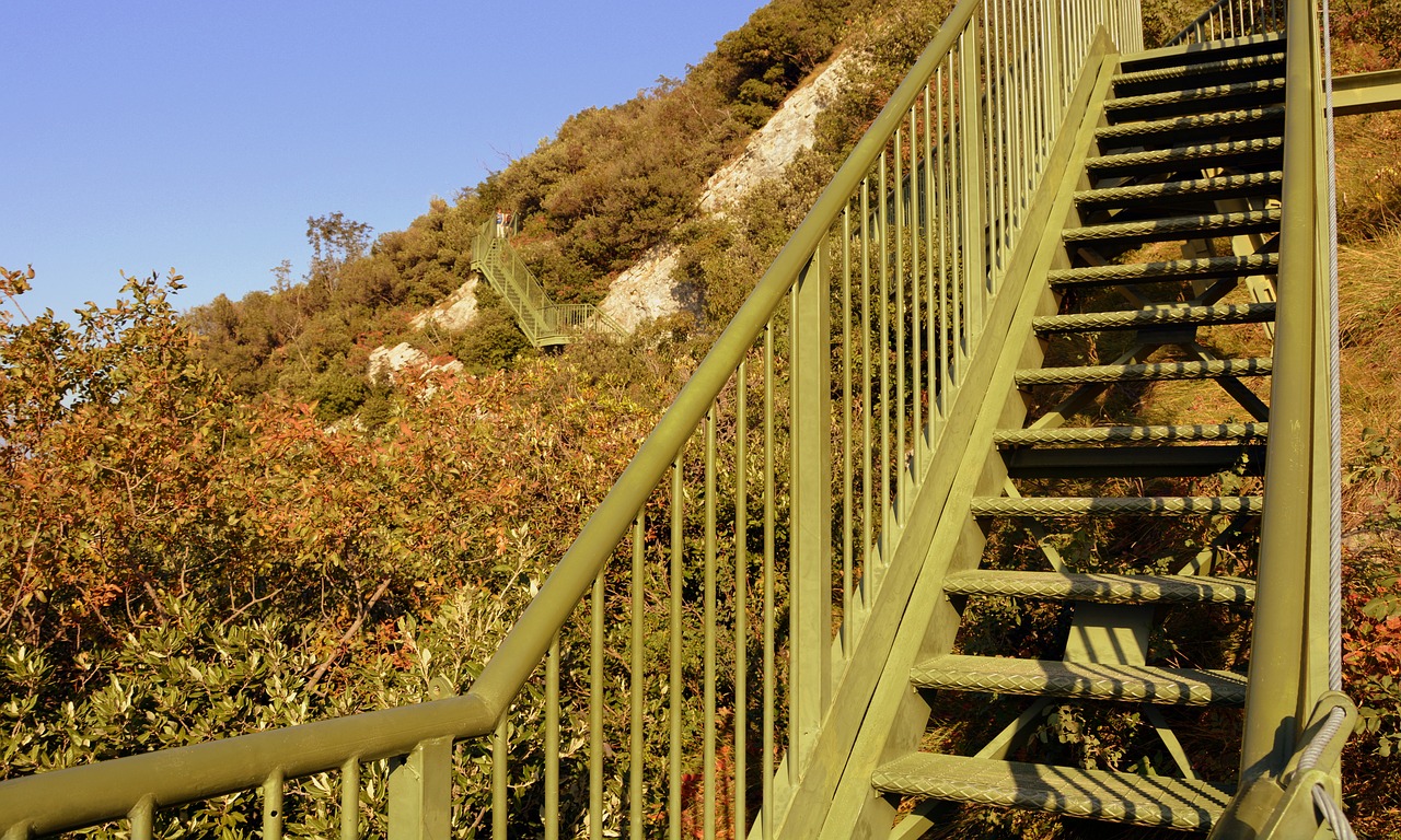 scale trail autumn free photo