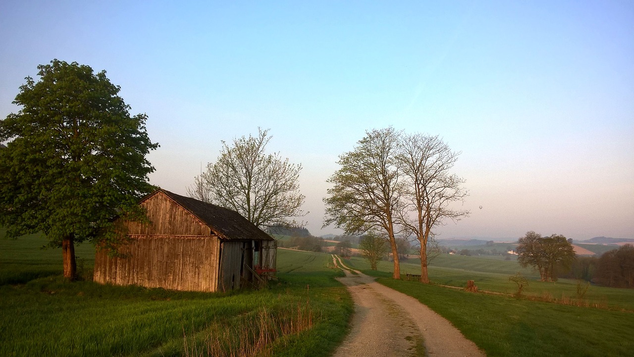 scale  tree  grass free photo