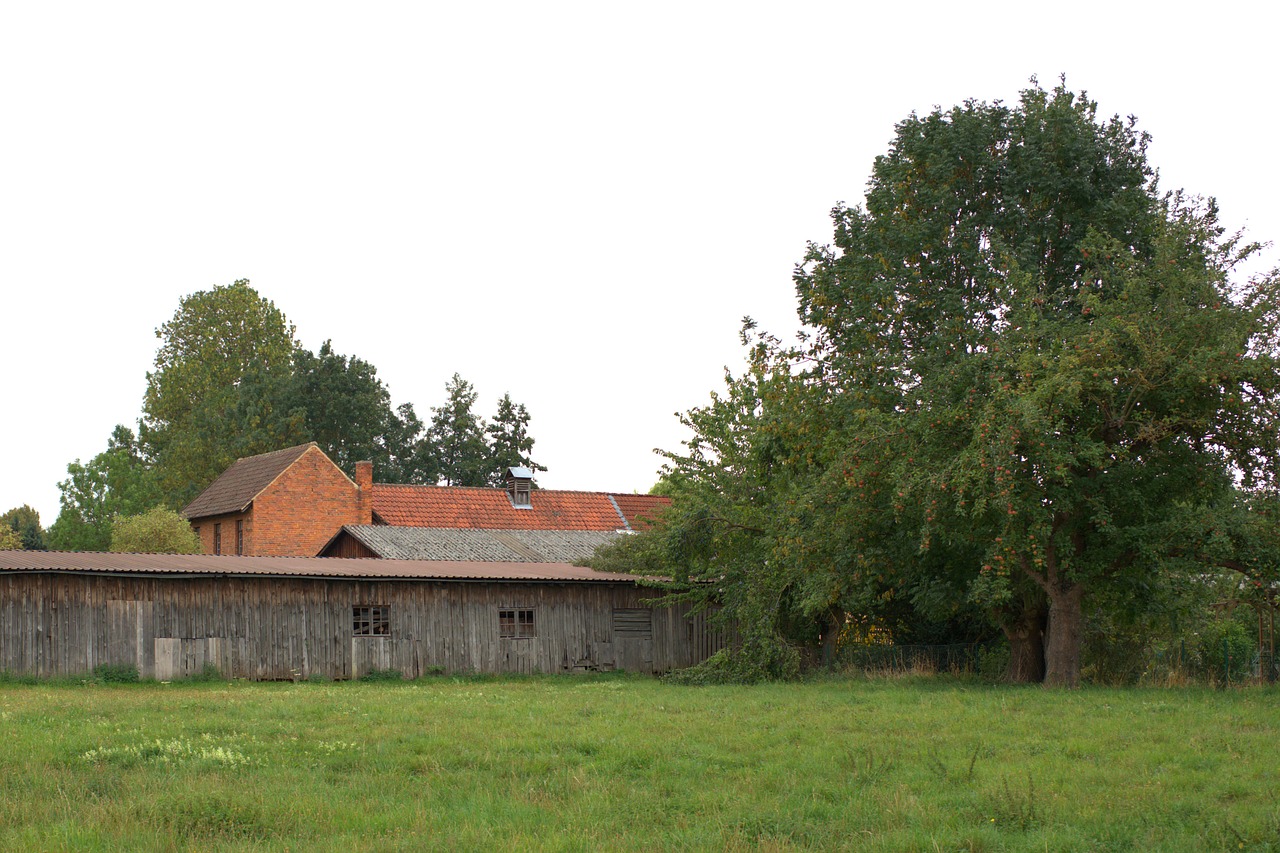 scale  rural  barn free photo