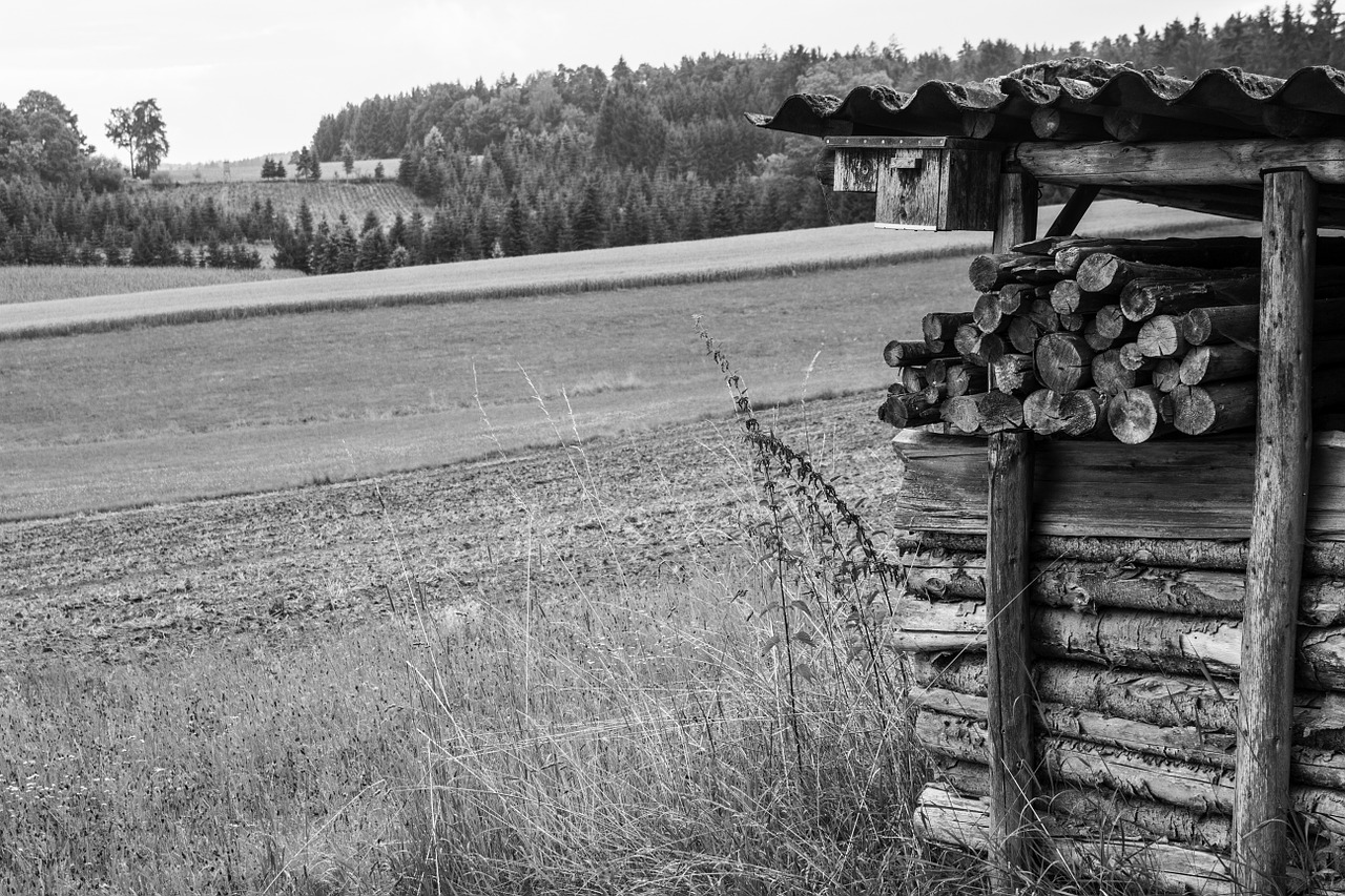 scale wood field free photo