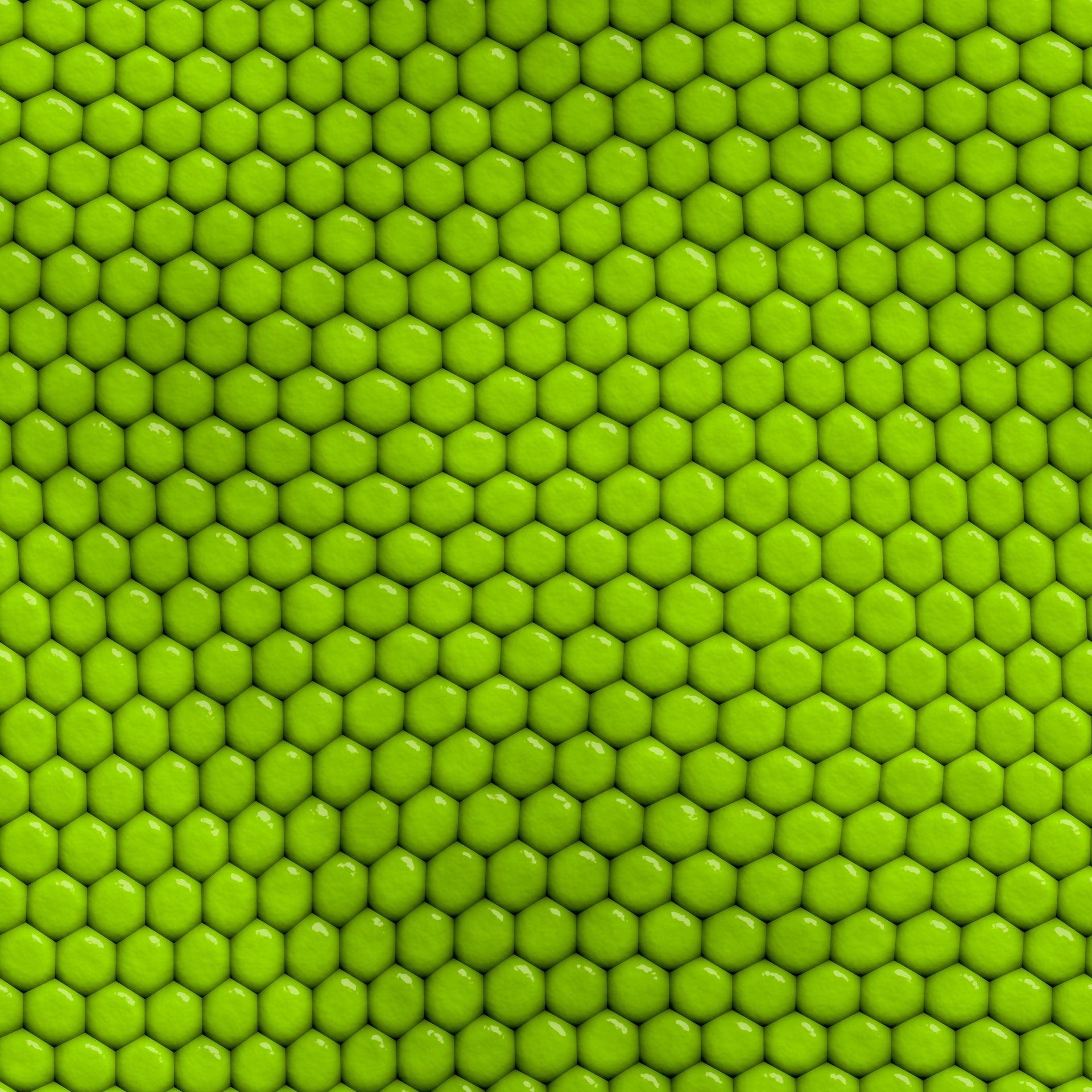 reptile texture animal free photo